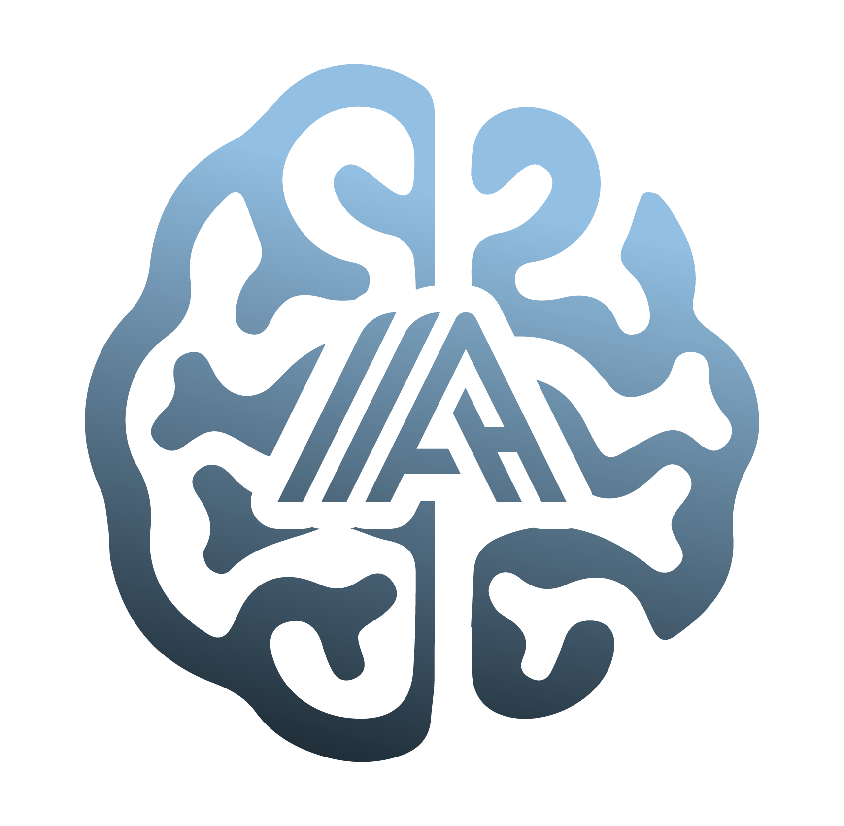 Dr. Mohamad Ali Hussein Logo